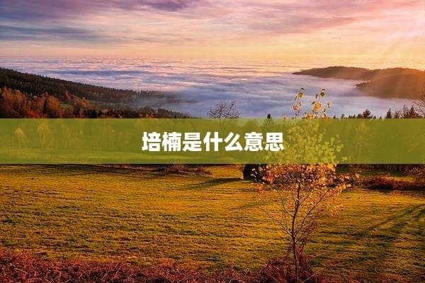 培楠是什么意思