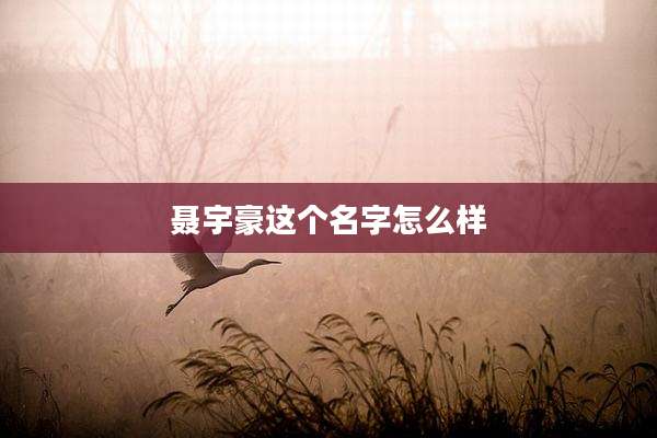 聂宇豪这个名字怎么样