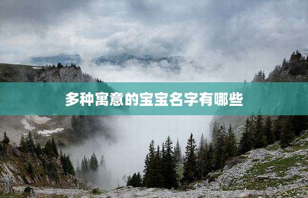 多种寓意的宝宝名字有哪些