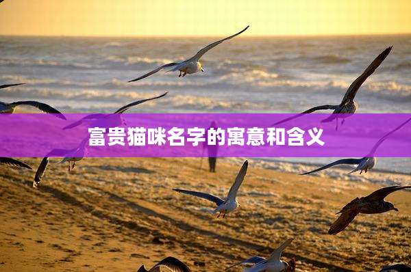 富贵猫咪名字的寓意和含义