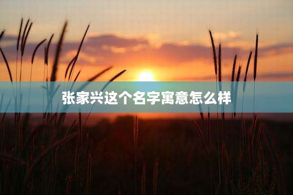 张家兴这个名字寓意怎么样