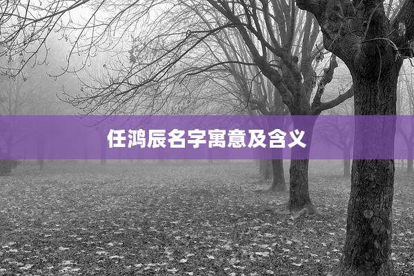 任鸿辰名字寓意及含义