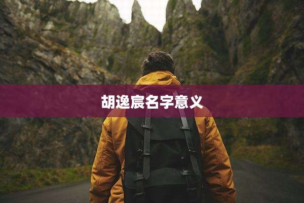 胡逸宸名字意义