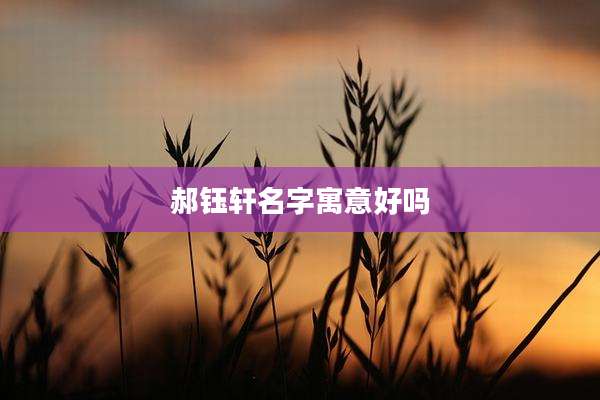 郝钰轩名字寓意好吗