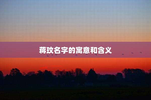 蒋玟名字的寓意和含义