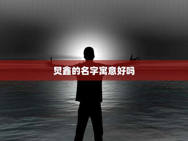 炅鑫的名字寓意好吗