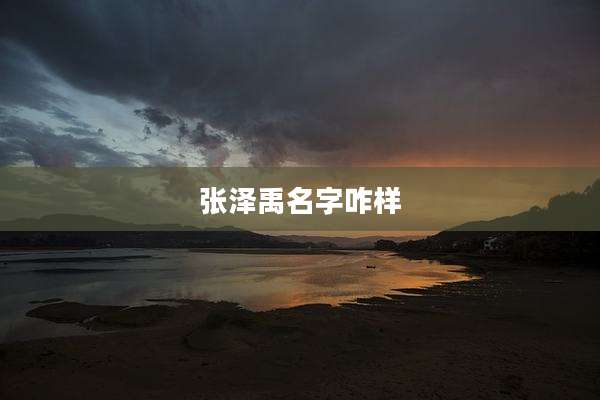 张泽禹名字咋样