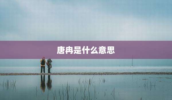 唐冉是什么意思