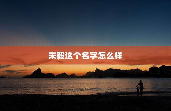 宋毅这个名字怎么样