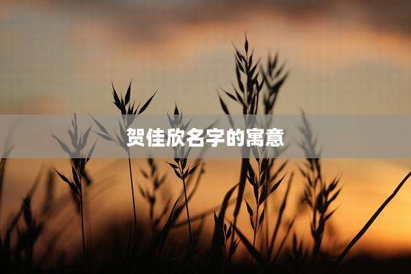 贺佳欣名字的寓意