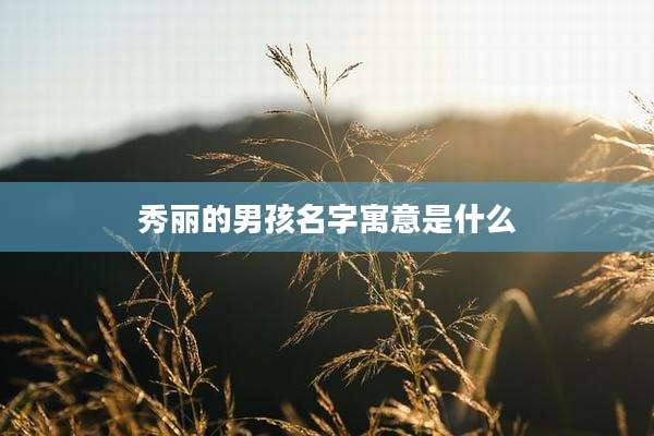 秀丽的男孩名字寓意是什么