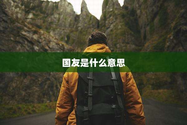 国友是什么意思