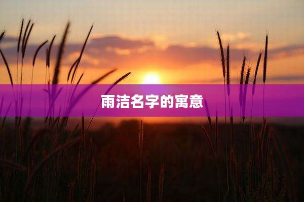 雨洁名字的寓意