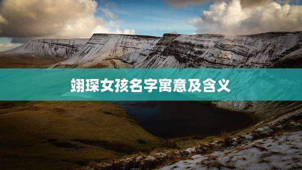 翊琛女孩名字寓意及含义