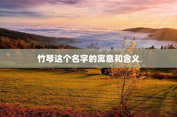竹琴这个名字的寓意和含义
