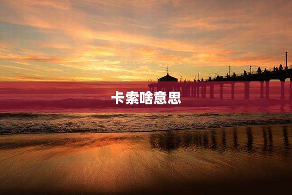 卡索啥意思