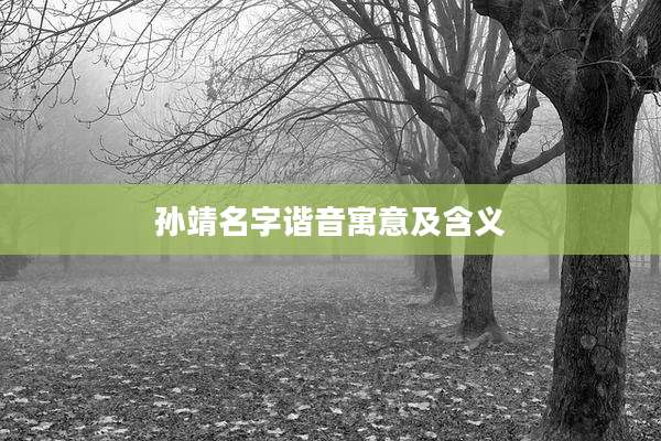 孙靖名字谐音寓意及含义