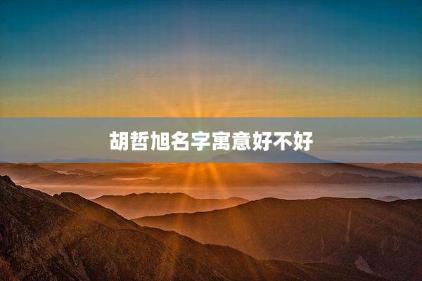 胡哲旭名字寓意好不好