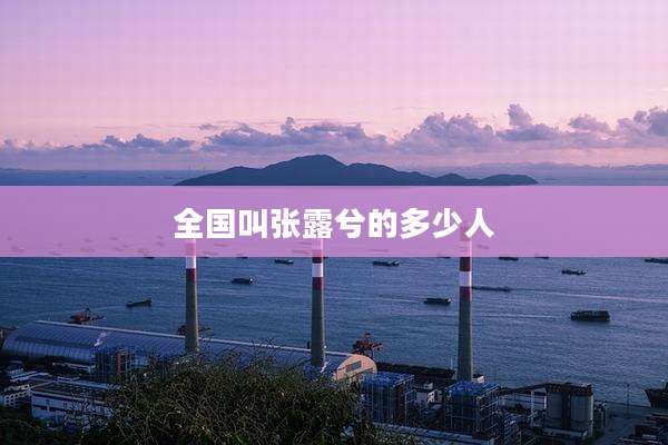 全国叫张露兮的多少人