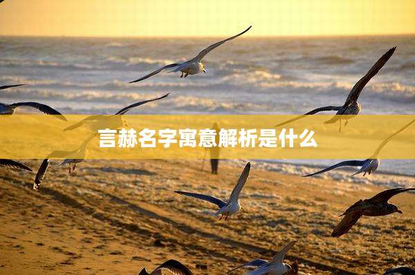 言赫名字寓意解析是什么