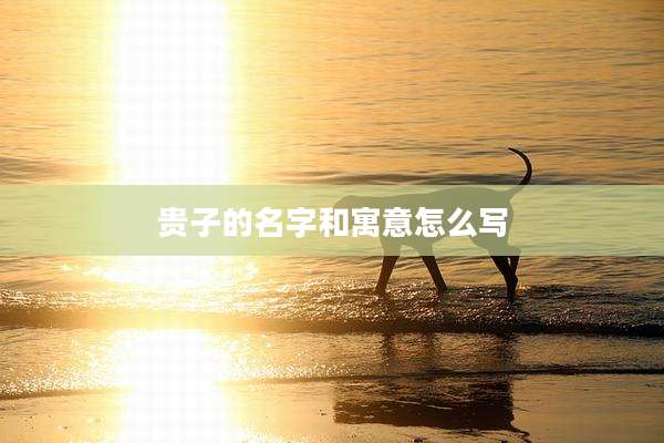 贵子的名字和寓意怎么写