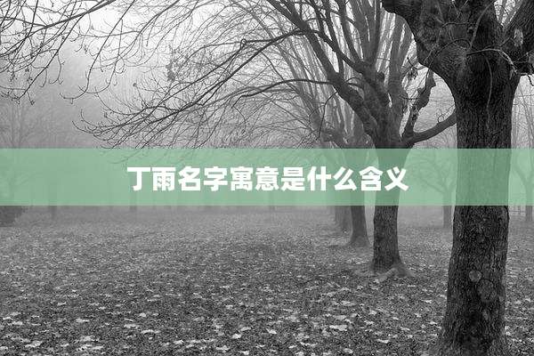 丁雨名字寓意是什么含义