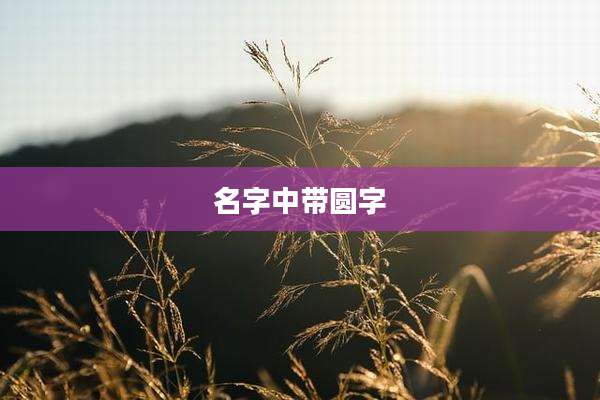 名字中带圆字