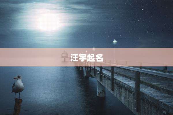 汪宇起名