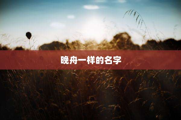 晚舟一样的名字