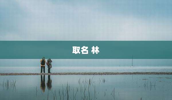 取名 林