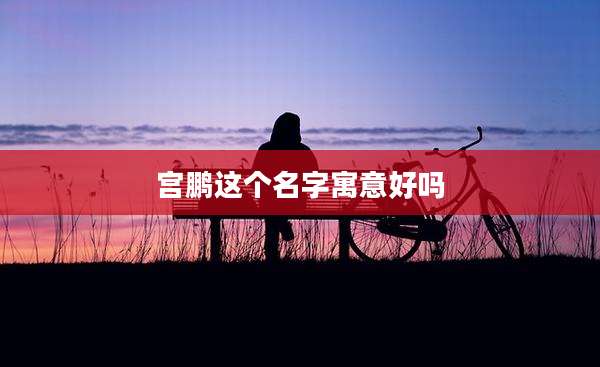 宫鹏这个名字寓意好吗