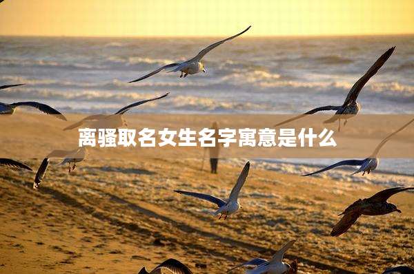 离骚取名女生名字寓意是什么