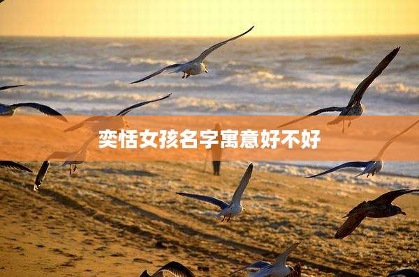 奕恬女孩名字寓意好不好