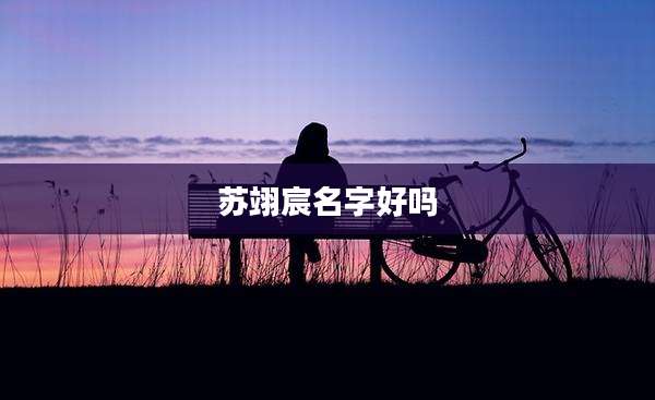苏翊宸名字好吗