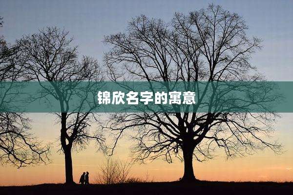 锦欣名字的寓意