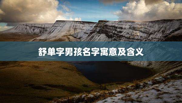 舒单字男孩名字寓意及含义