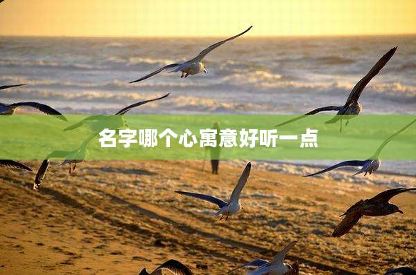 名字哪个心寓意好听一点