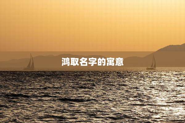 鸿取名字的寓意