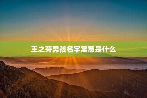 王之旁男孩名字寓意是什么