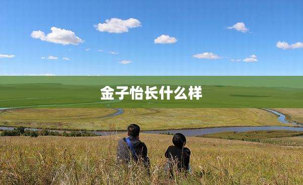 金子怡长什么样