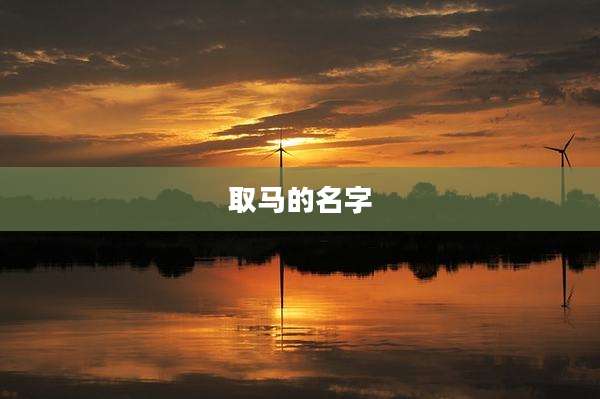 取马的名字