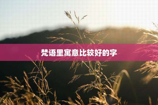 梵语里寓意比较好的字