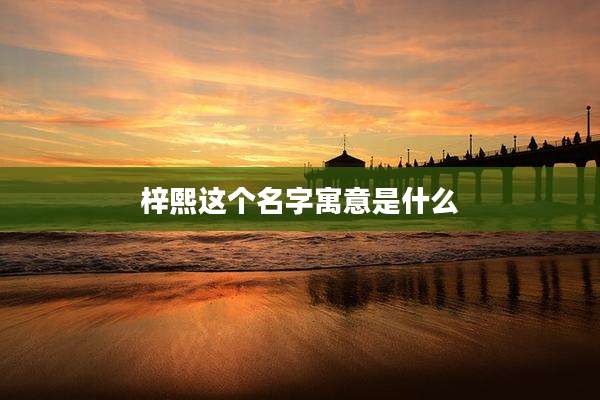 梓熙这个名字寓意是什么