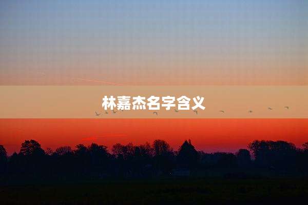 林嘉杰名字含义