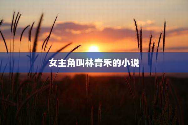 女主角叫林青禾的小说