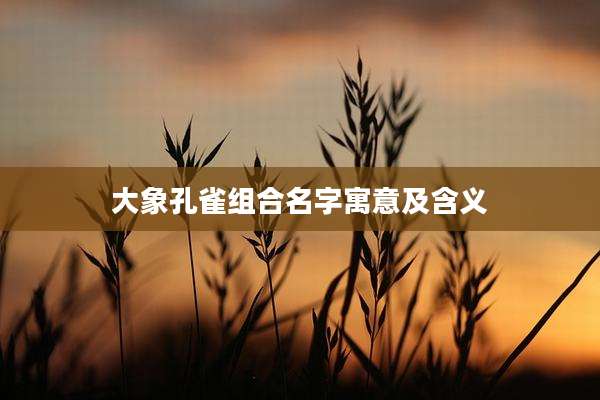 大象孔雀组合名字寓意及含义