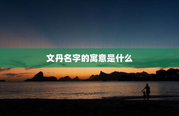 文丹名字的寓意是什么