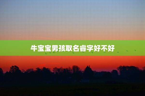 牛宝宝男孩取名睿字好不好