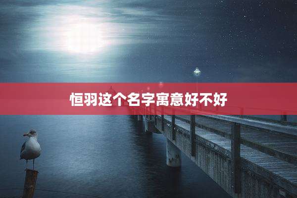 恒羽这个名字寓意好不好