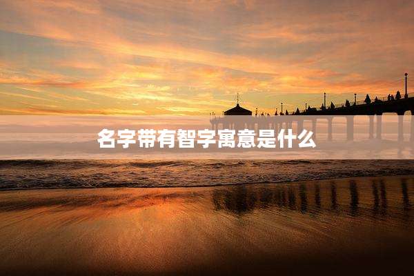 名字带有智字寓意是什么